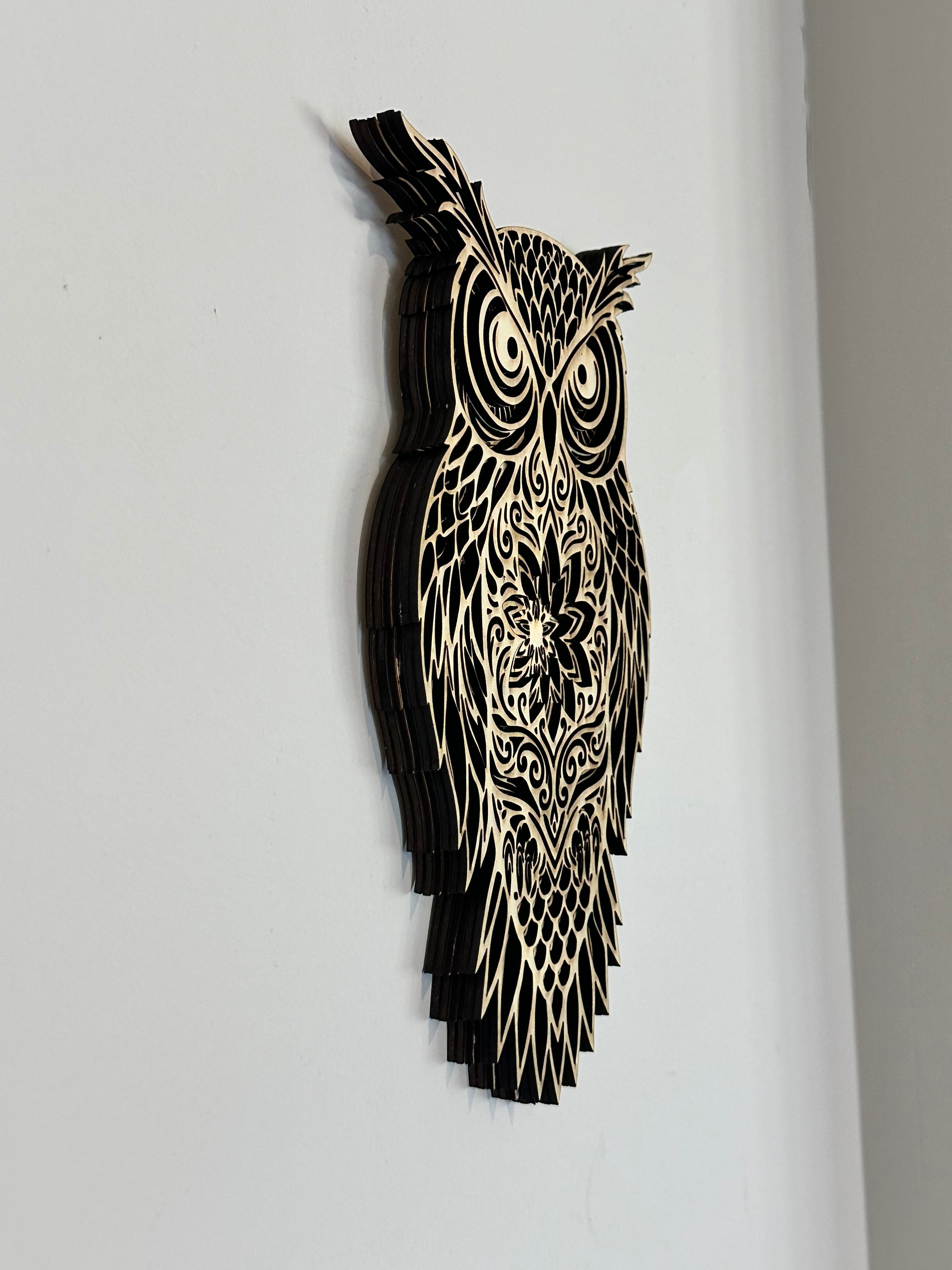 Custom 3D Owl Plaque